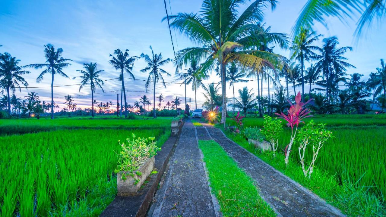 ウブドMaruan Sariアパートメント エクステリア 写真